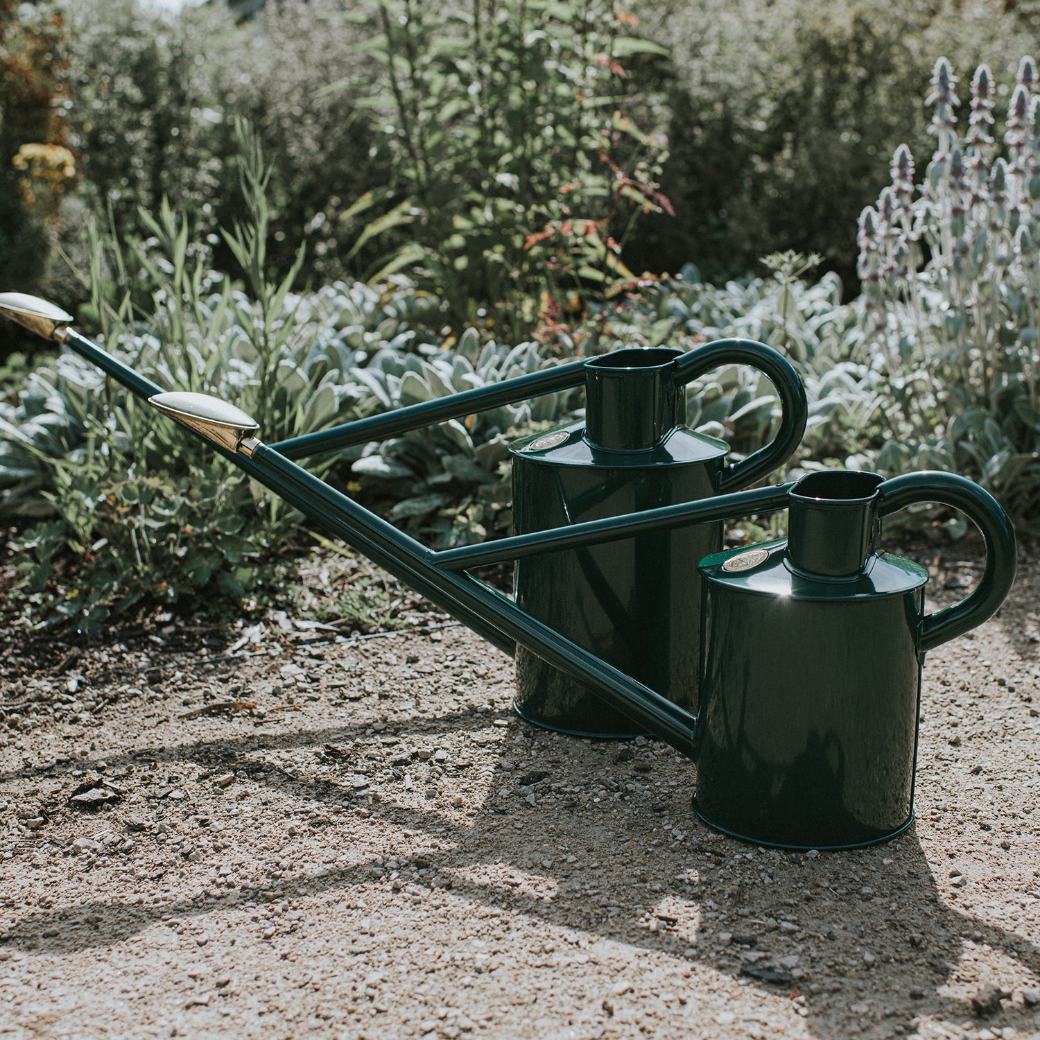 haws 2 gallon watering can: The best way to water your plants, Find out why its so popular.