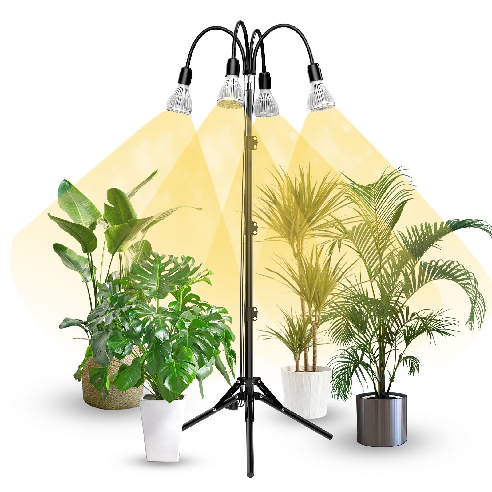 Where to Buy the Best Plant Light Stands Online