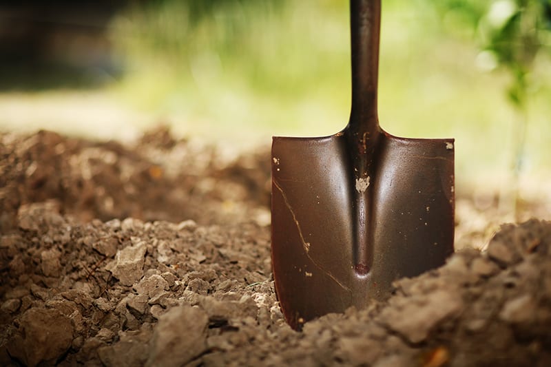 Tiny Shovel Uses: More Than Just Digging in the Dirt