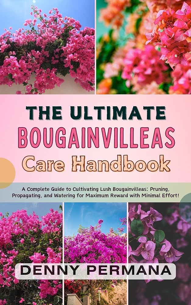 Bougainvillea Plant Care Indoors: A Beginners Guide