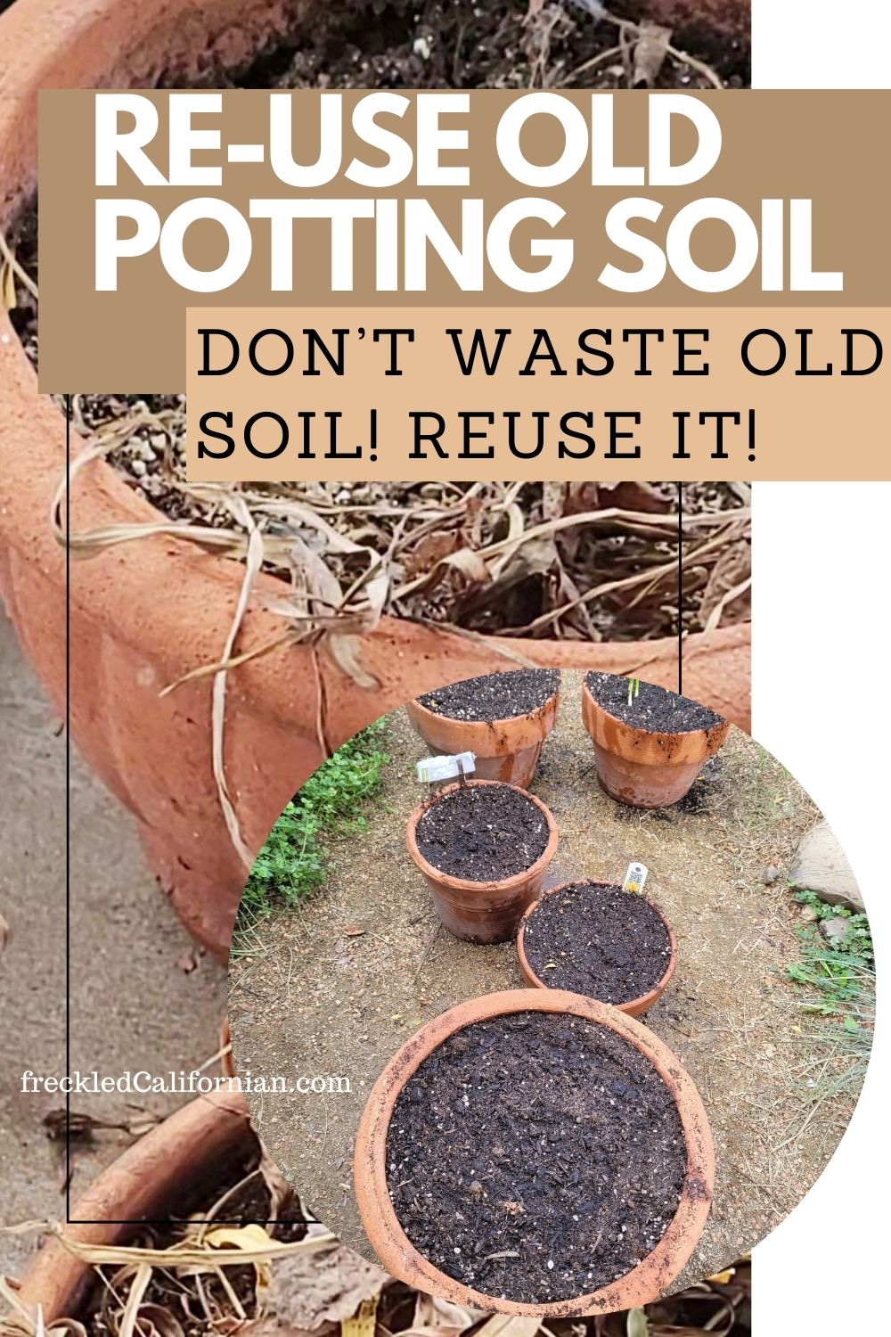Is It Safe to Reuse Potting Soil? Find Out the Dos and Donts