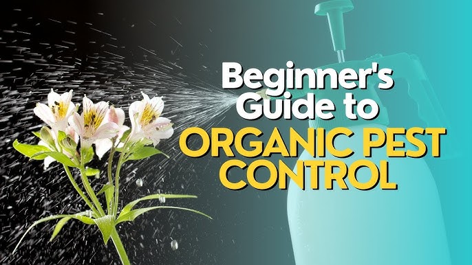Say Goodbye to Pests: The Ultimate Guide to Flower Pesticides.