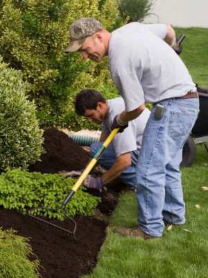 Using a shovel for mulch: All the things you should know about spreading!