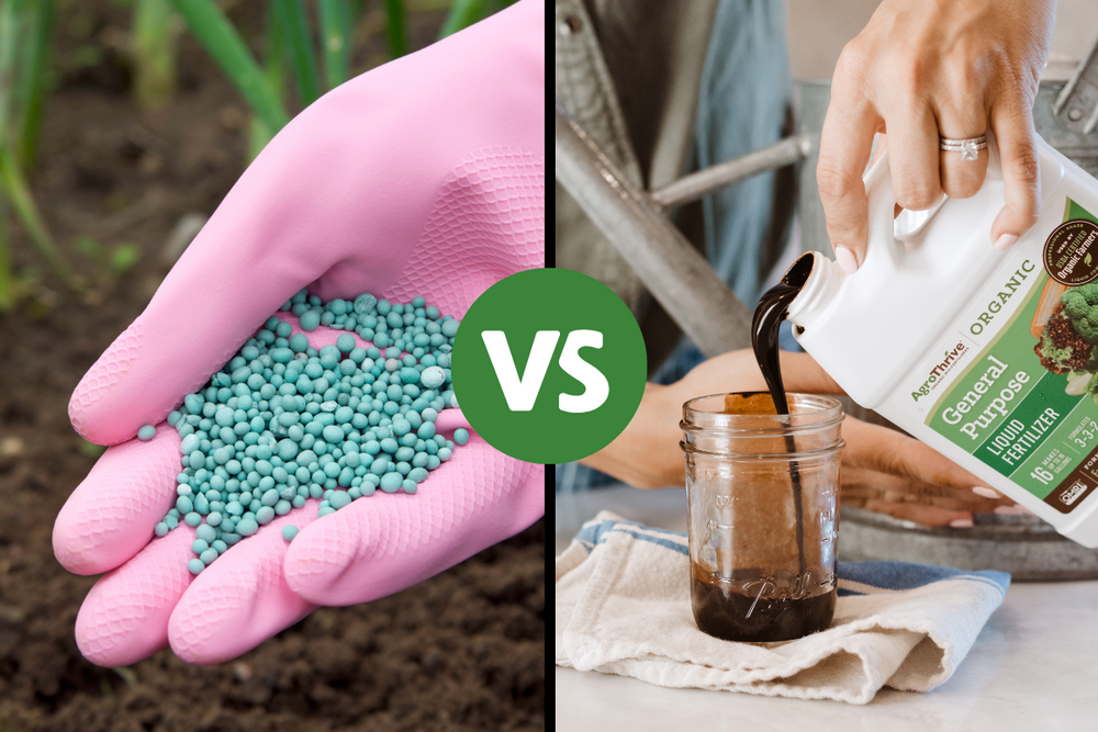 Liquid vs Granular Fertilizer for Seed Starting: Which is Better?