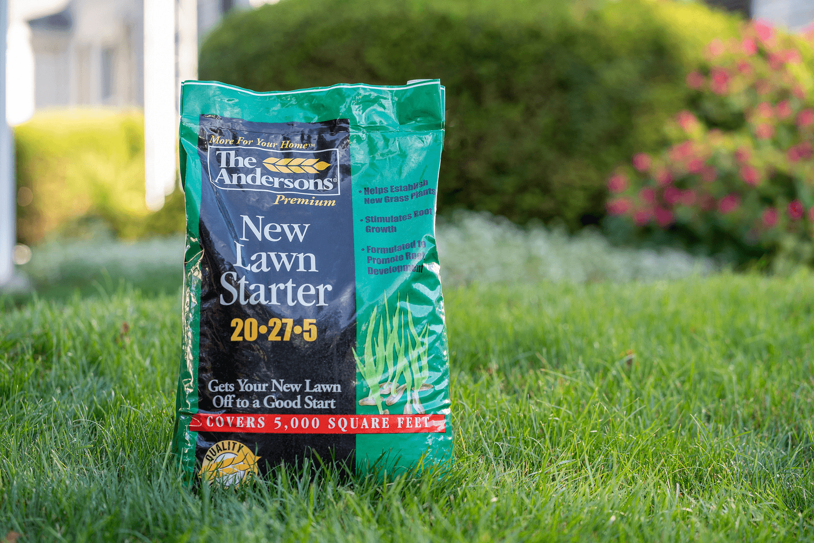 Top 5 Starter Fertilizers for Lawn Seed: Get Your Grass Growing Fast