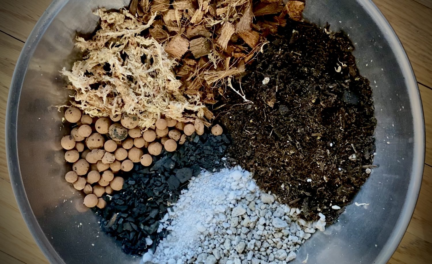 Whats the Perfect Soil for Hoya Plant? Find Out Here!