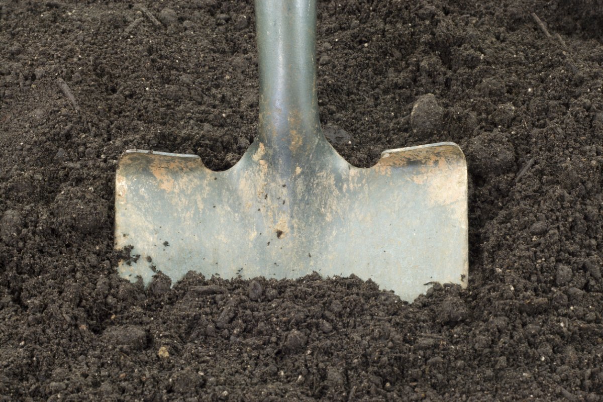 Need a New Shovel T Handle? Heres How to Choose the Best