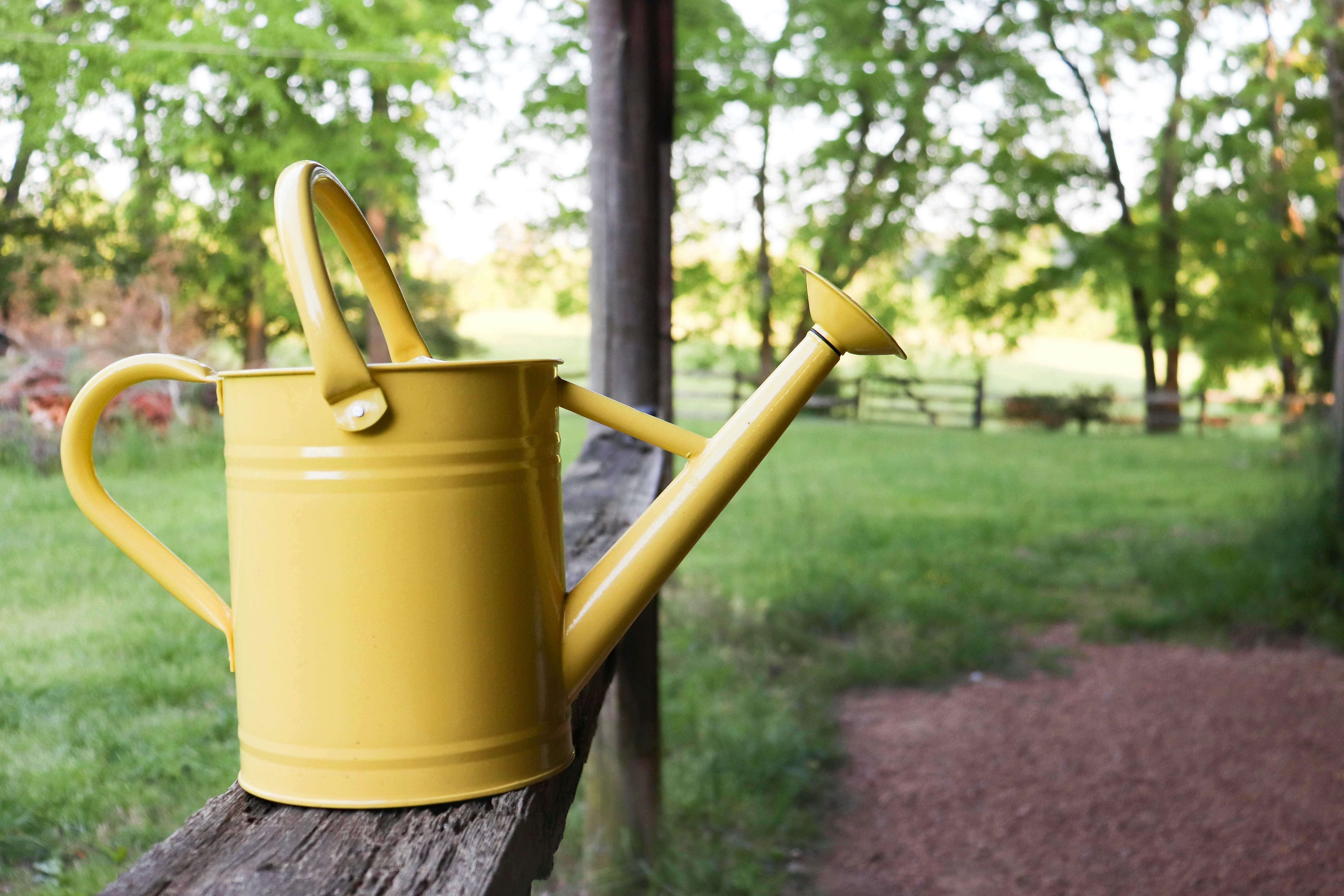 Tin watering can benefits: Why use one (and how it can help your plants thrive)