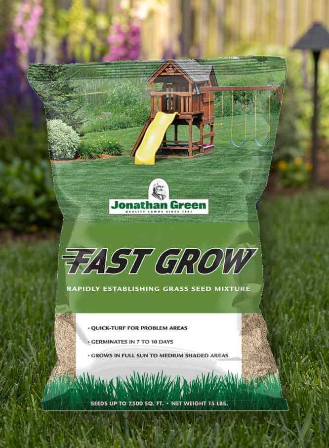 Best Lawn Fertilizer for New Seed: Grow a Lush Lawn Fast