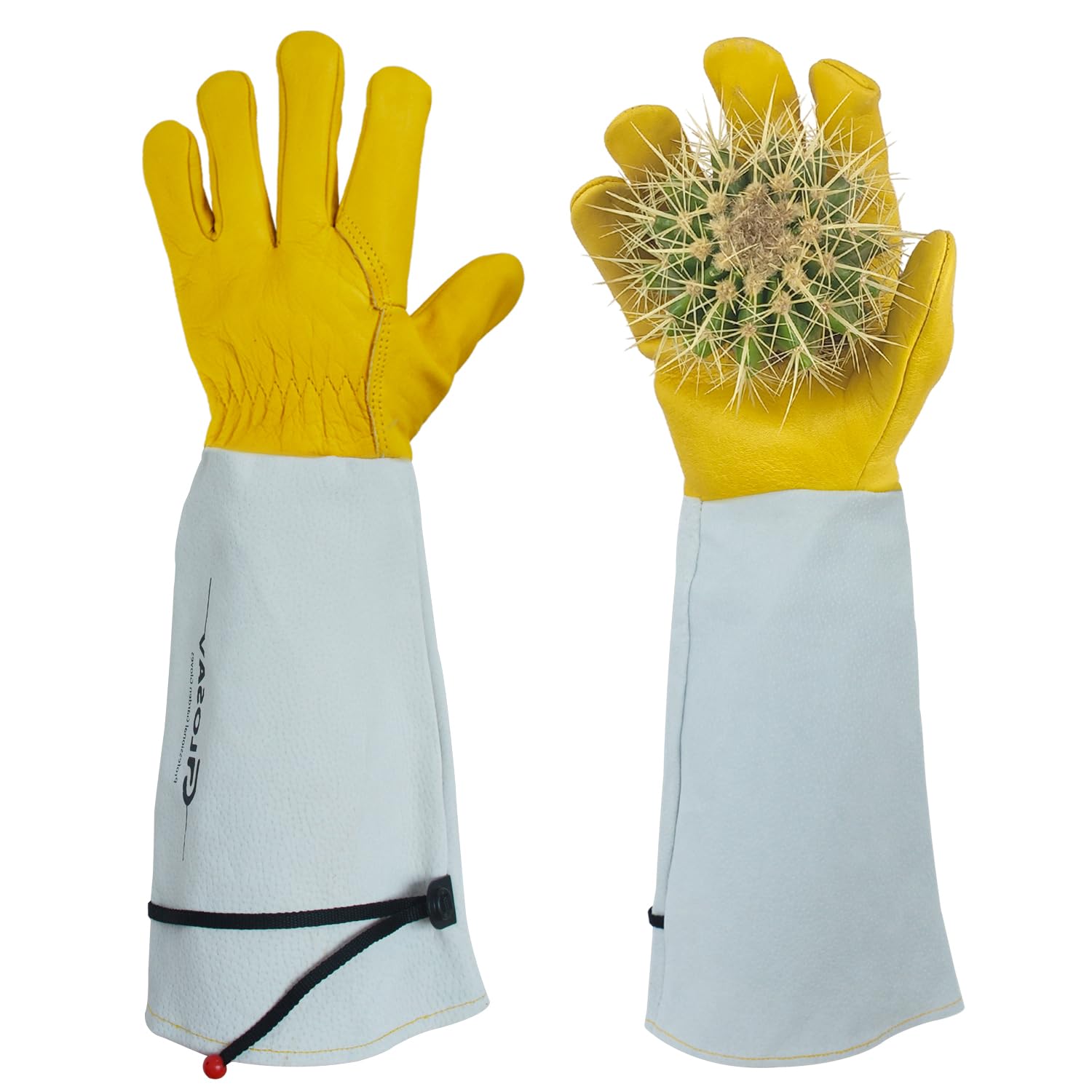 Gloves for Gardening Roses: Which Ones Should You Choose?
