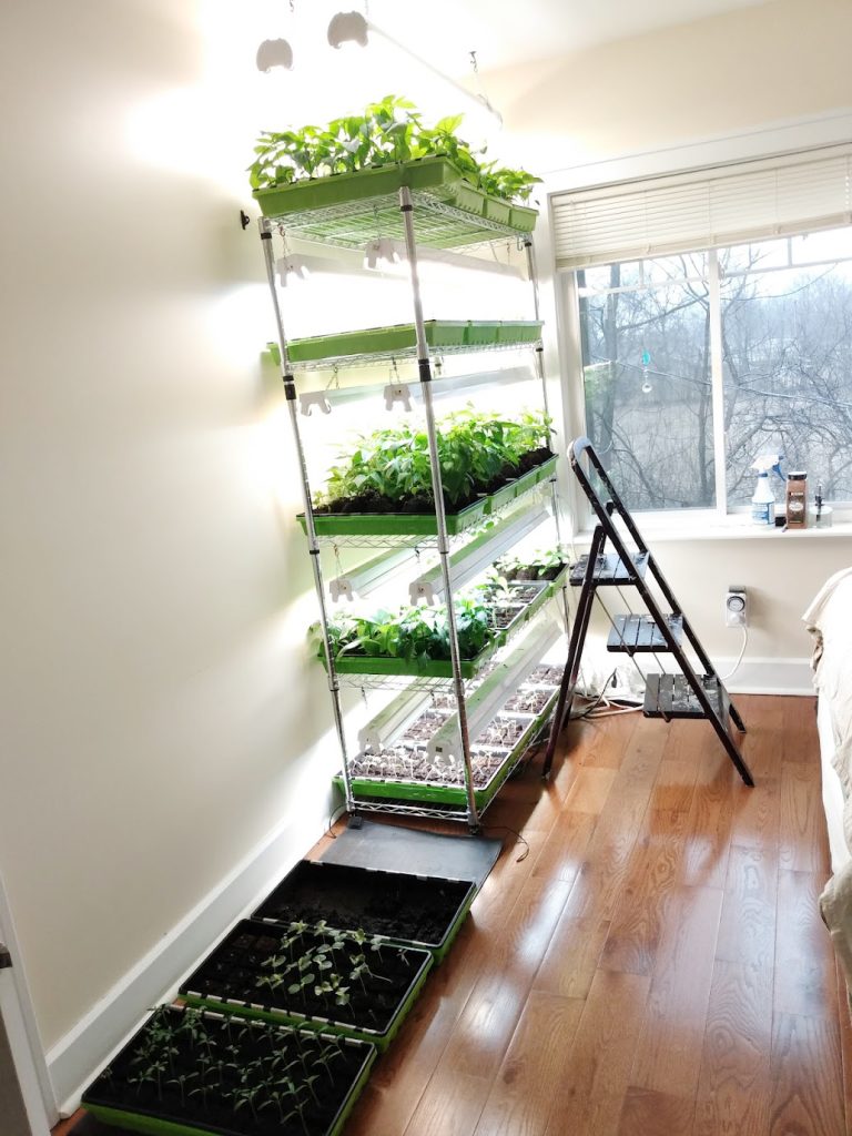 DIY Plant Light Stand Ideas and Easy Setup Guide