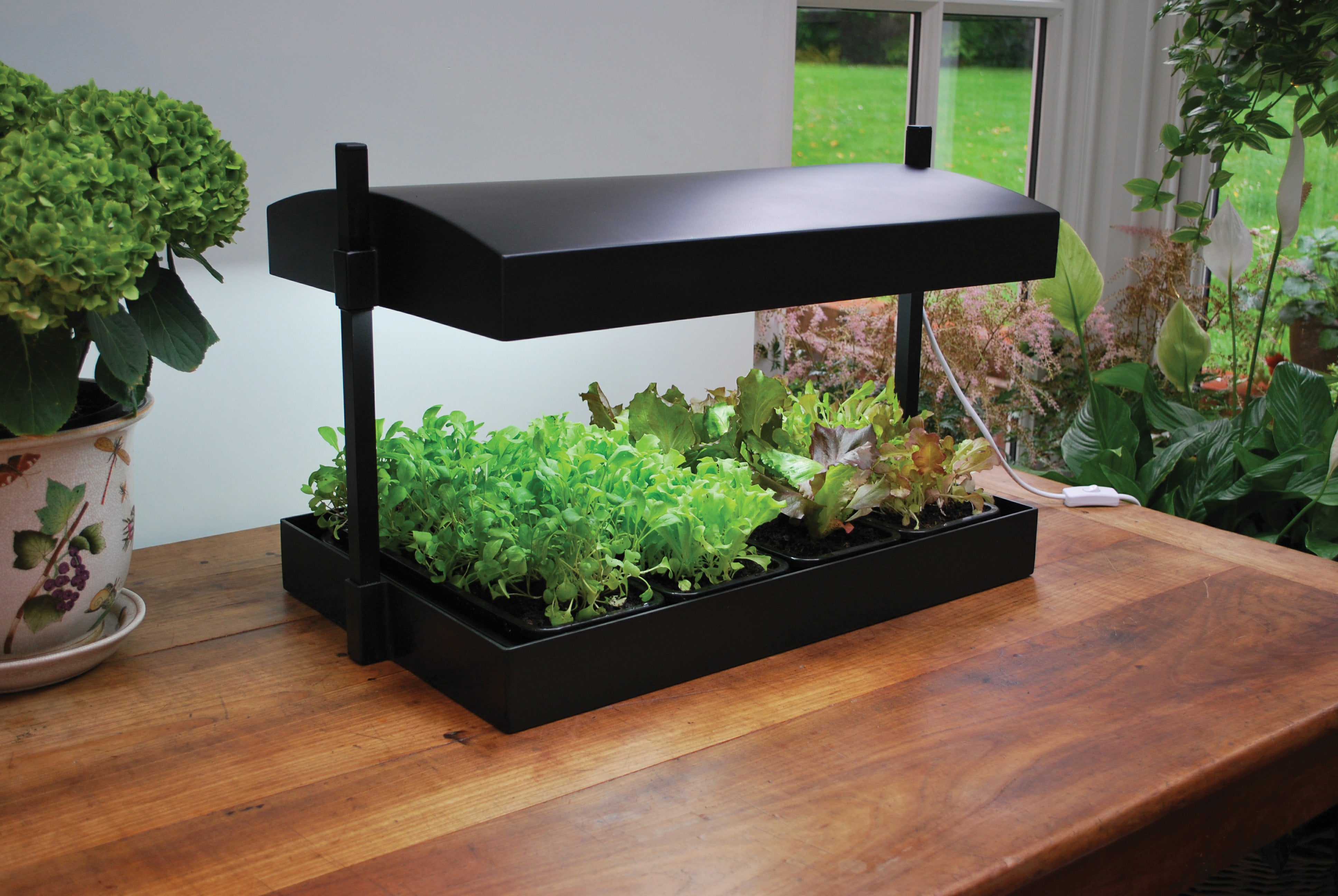 Choosing the Right Grow Light Stands for Your Plants