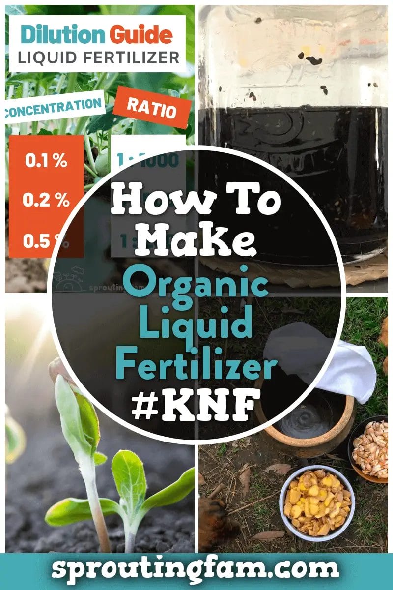 Organic Liquid Fertilizer for Seedlings: A Simple Guide to Getting Started