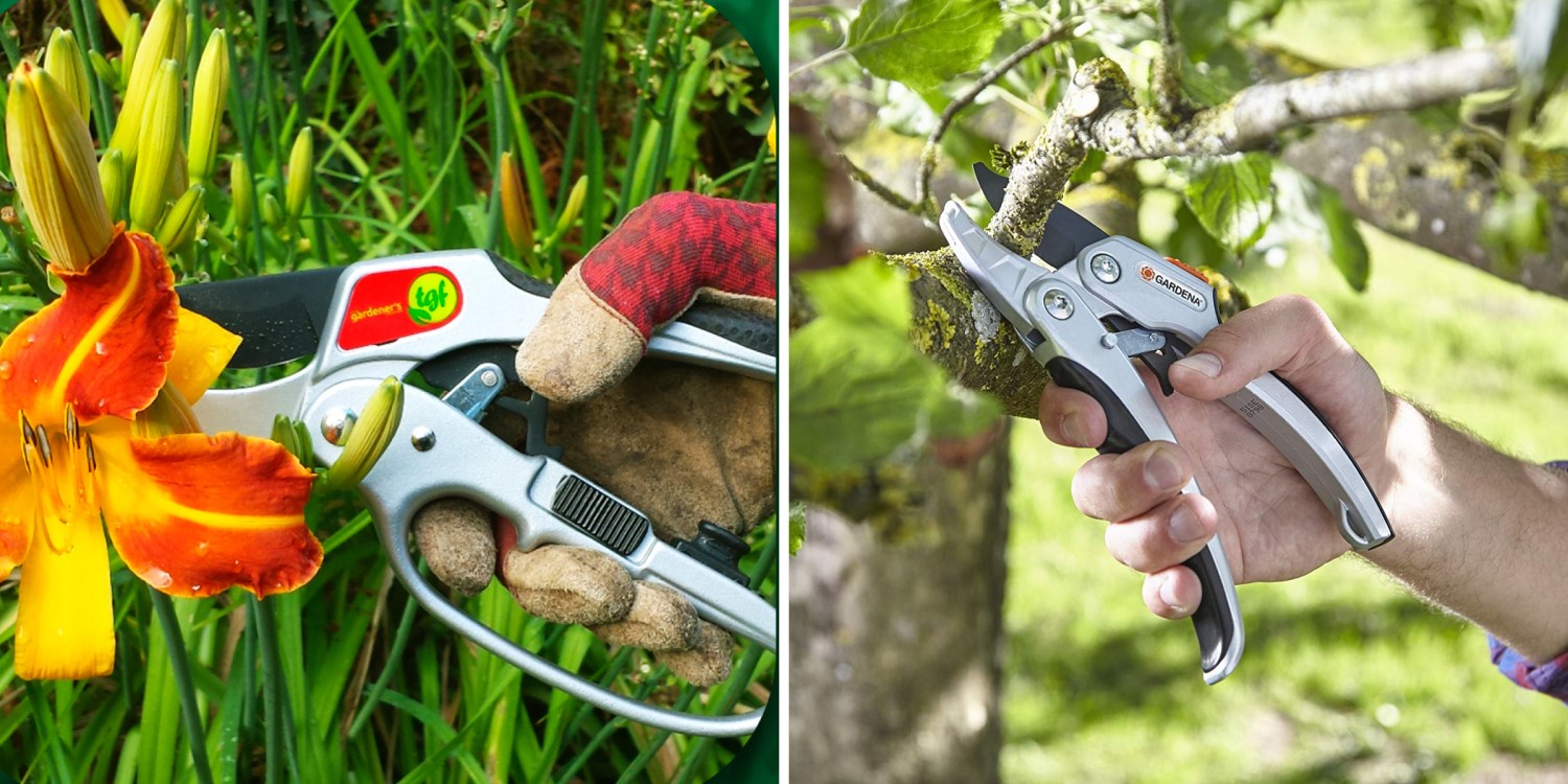 Planting Scissors: What to Look For? Get the Best Pair for Your Garden!
