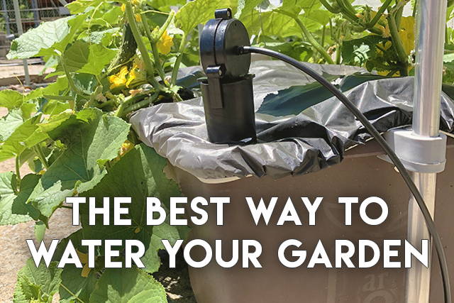 Problems with Auto Watering System? Heres How to Fix Them