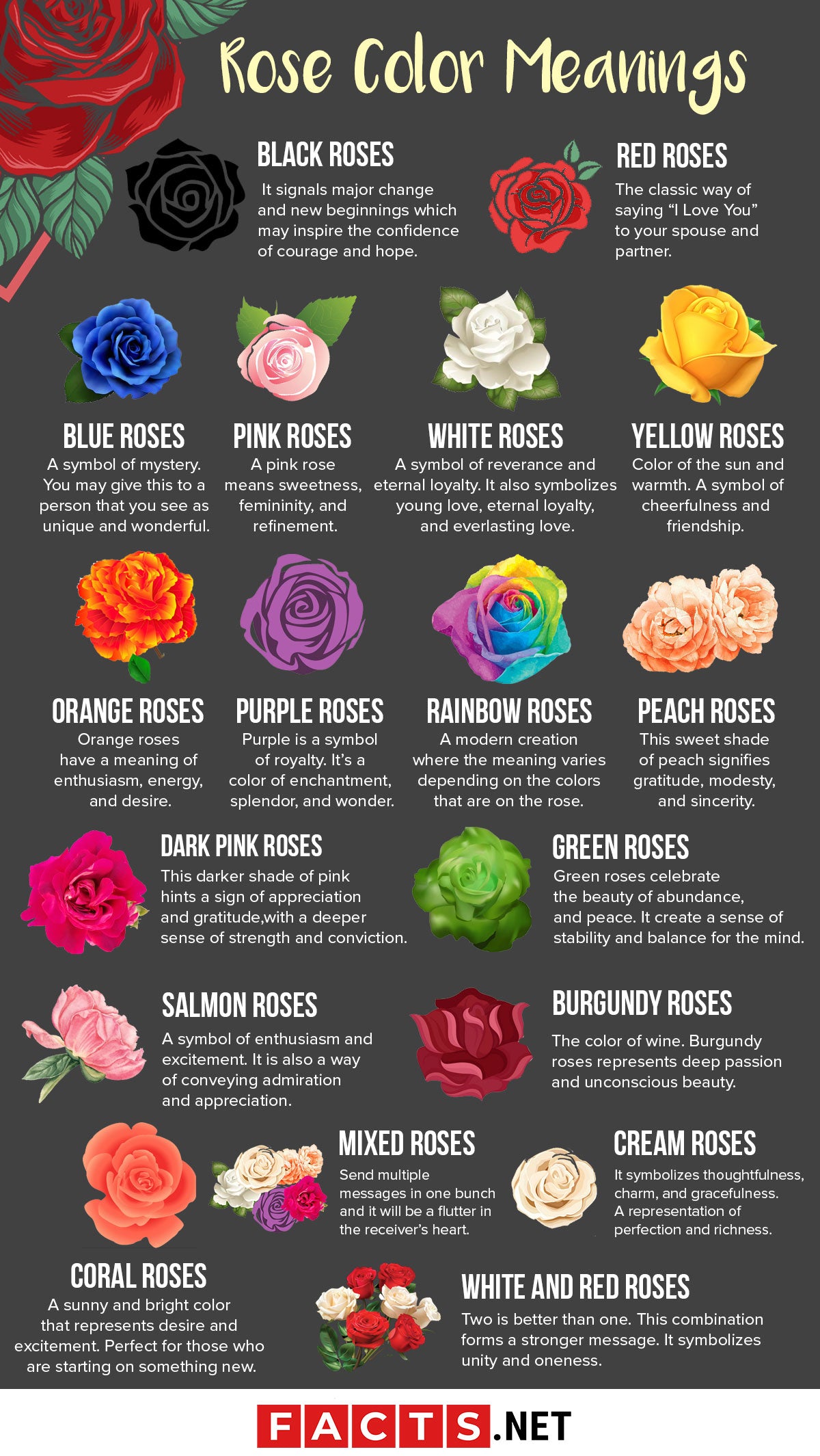Heart Flowers Meaning: What Do Different Colors Symbolize?