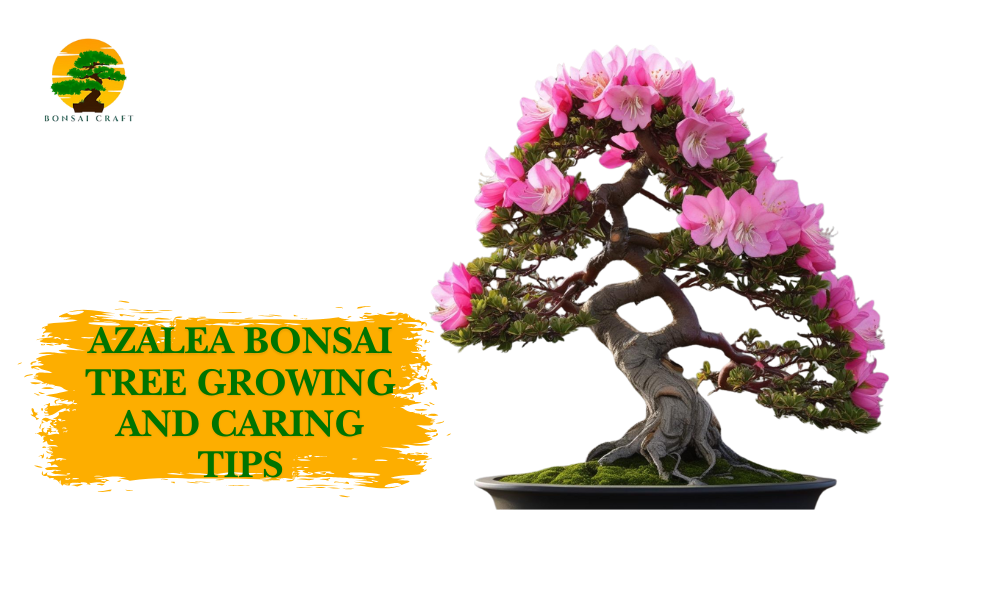 The Ultimate Guide to Azalea Bonsai Tree Care Indoor (Simple Steps to a Beautiful, Blooming Bonsai)