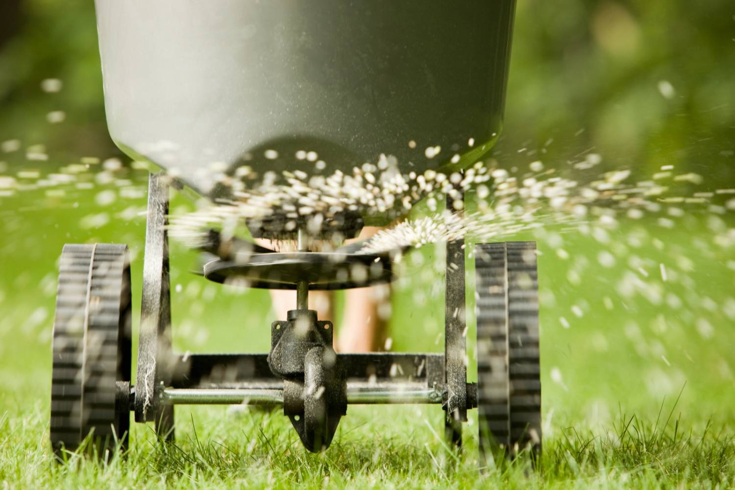 How Long Do Fertilizers Last? Dont Waste Money, Know When to Replace Fertilizers
