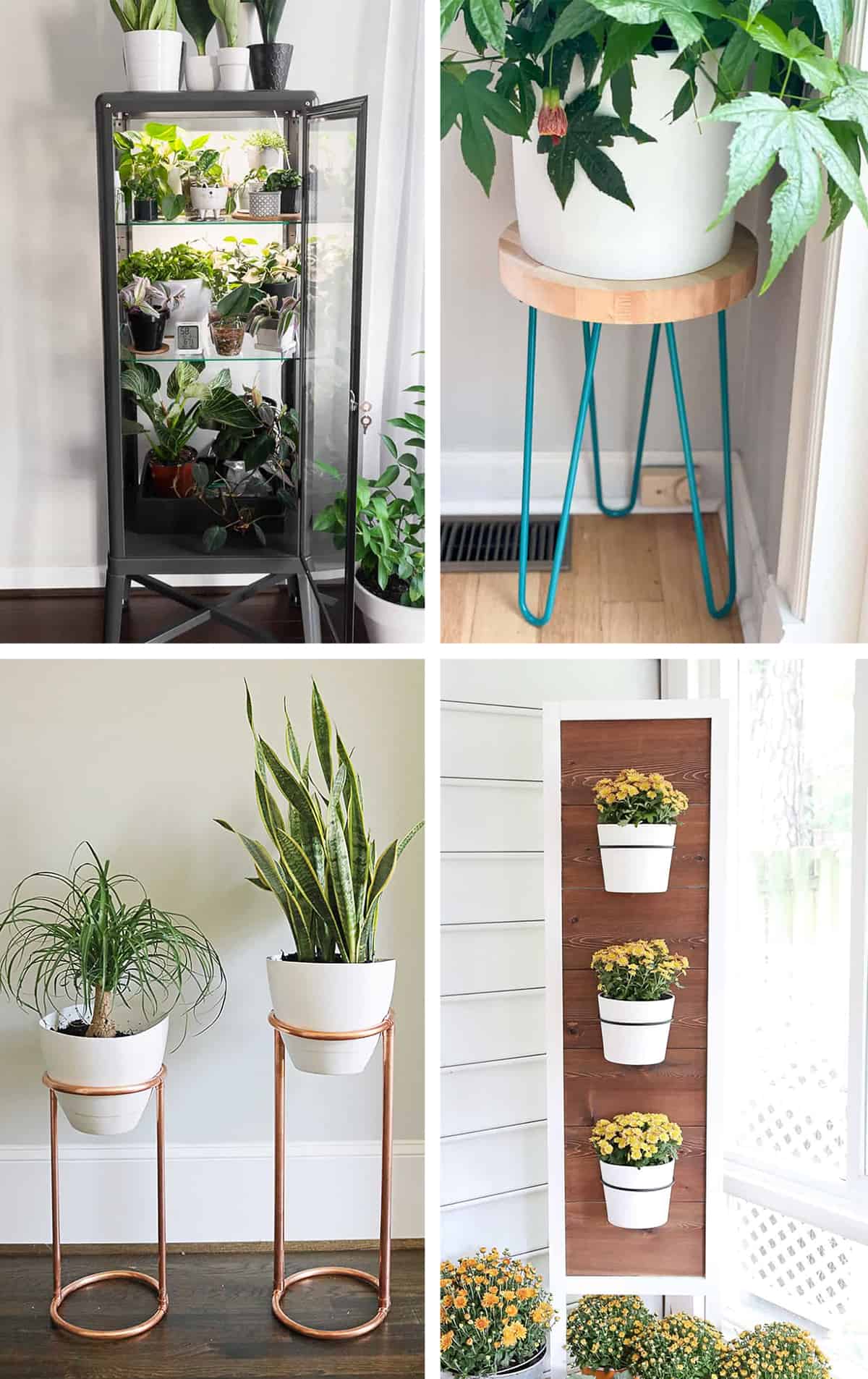 DIY Succulent Stand with Shade Sheet: A Simple Guide