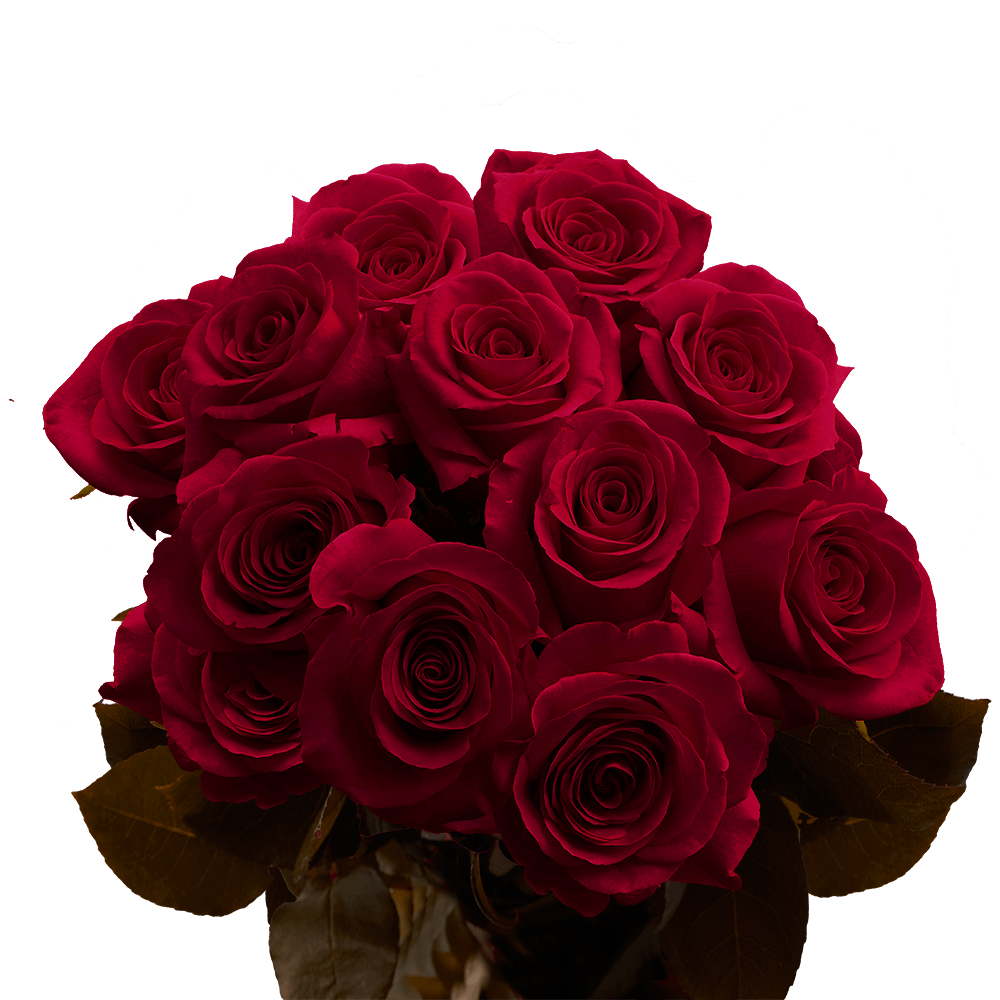 Where to Buy the Most Beautiful Maroon Flowers Online or Locally