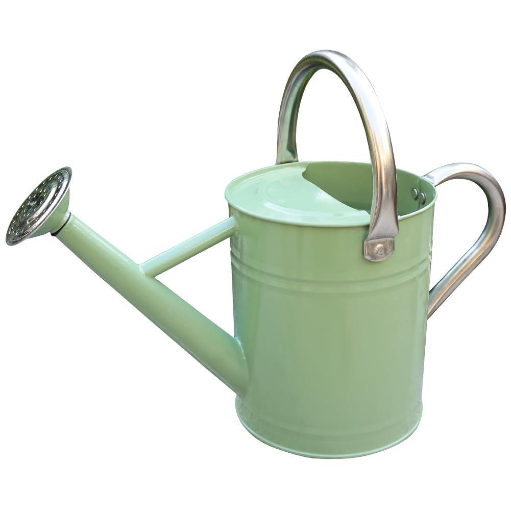 Metal Watering Cans: Find the Perfect One for Your Garden
