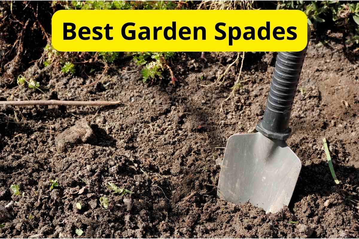Best Garden Shovels and Spades: Top Picks for Every Gardener (From Light Digging to Tough Jobs)