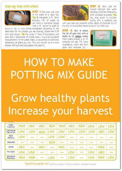 Black Humus and Mushroom Compost for Sunflowers: A Simple Guide