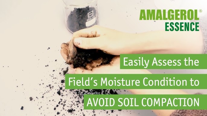 Top Tips for Moisture Conditioning Soil Like a Pro