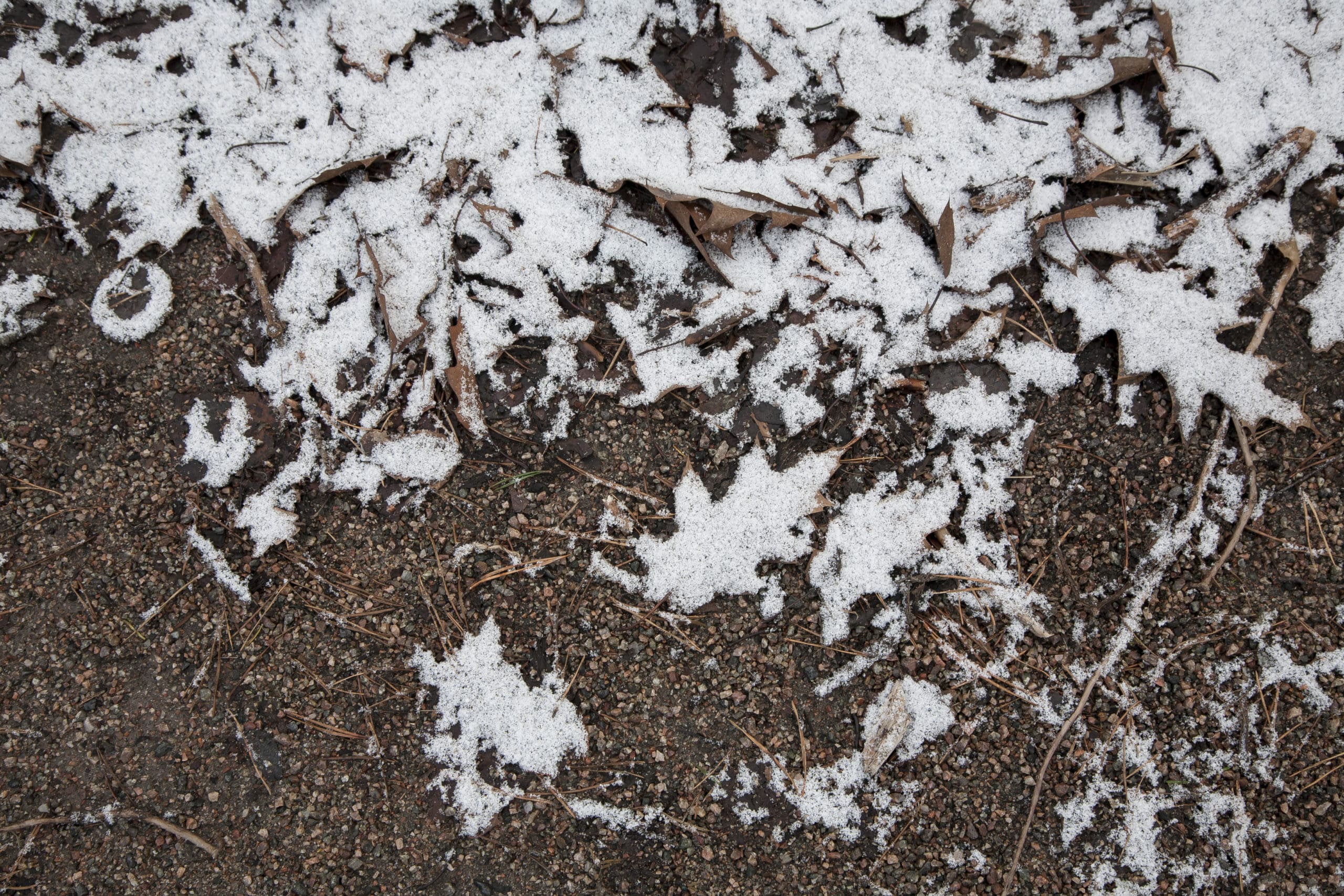 Is it hard to dig frozen ground with a shovel? Learn how to make it easier.