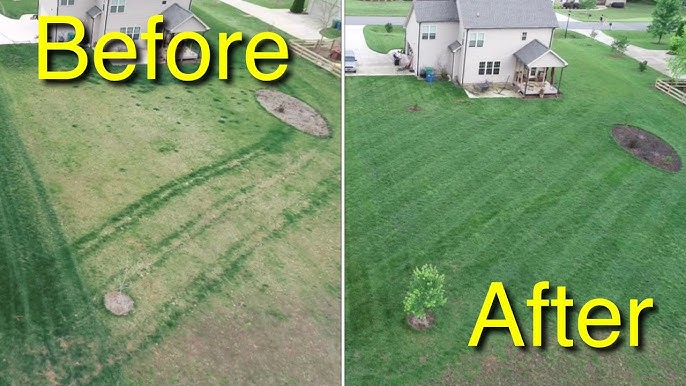 Is It Better to Fertilize Before or After Mowing? Find Out Now