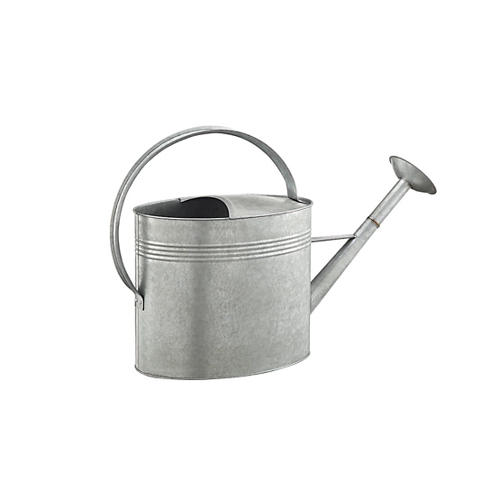 Buying a 2 Gallon Metal Watering Can? Check Out These Helpful Tips