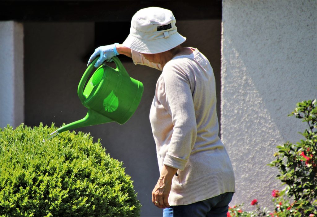 Top Gardening Tools for Elderly People: Safe and Simple Choices