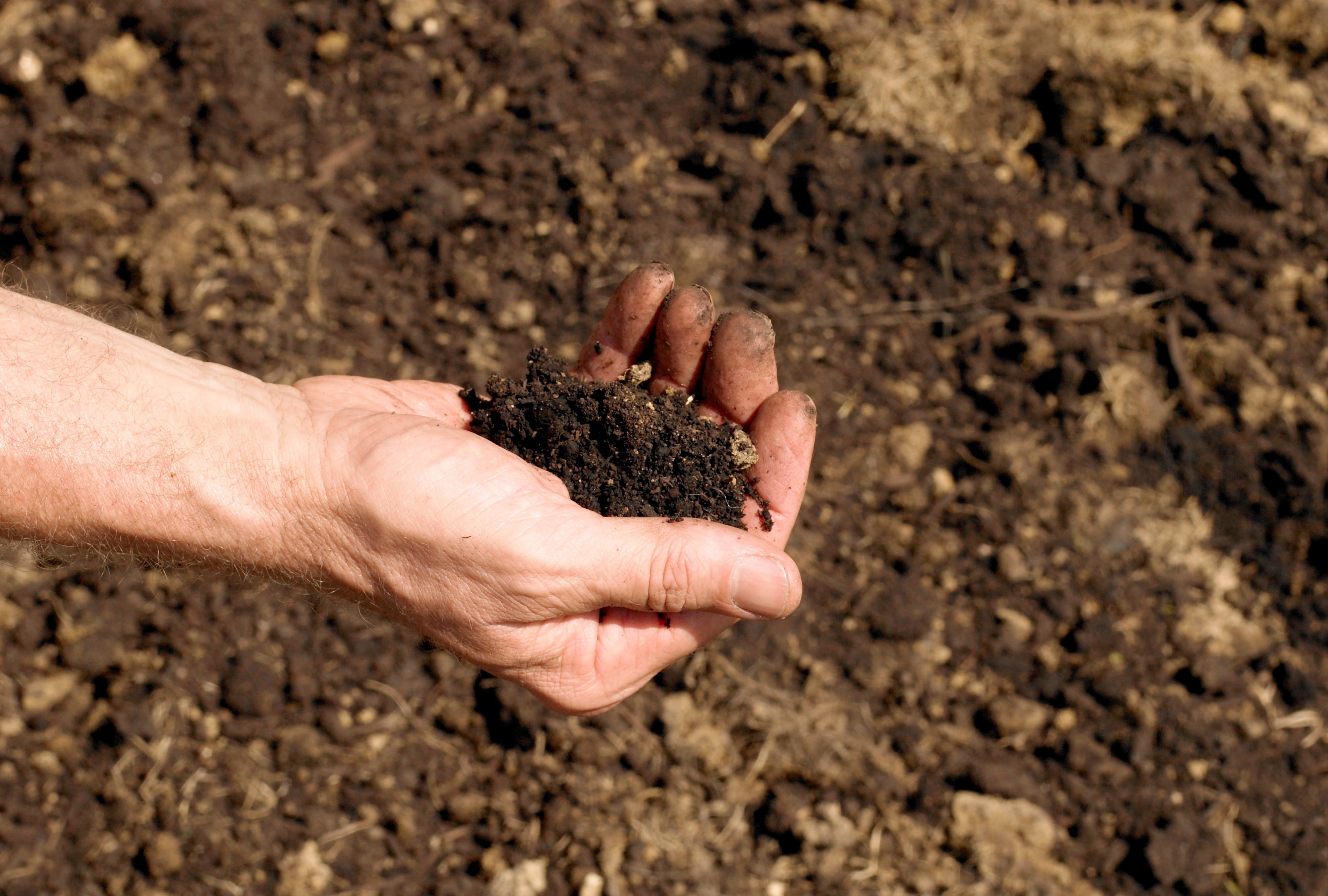 Question About Sandy Loam Soil in the Winter? Get Your Answers