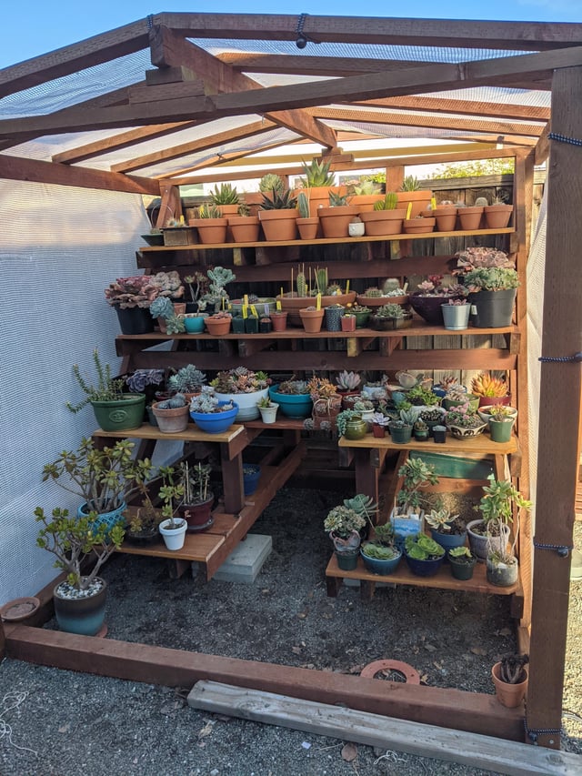DIY Succulent Stand with Shade Cover: Easy Step-by-Step Guide