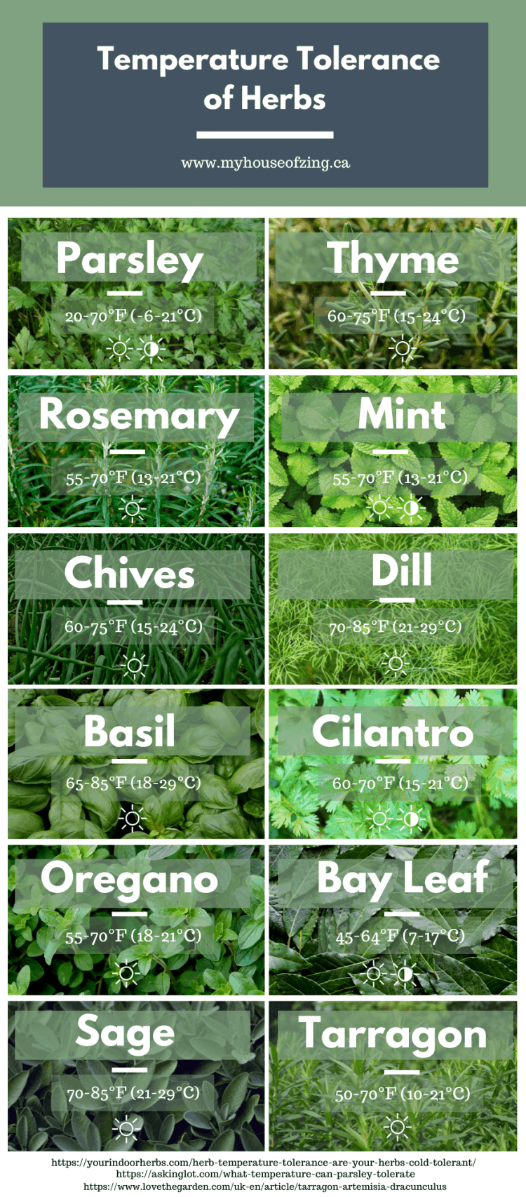 Herbs Temperature Tolerance: A Simple Guide to Success