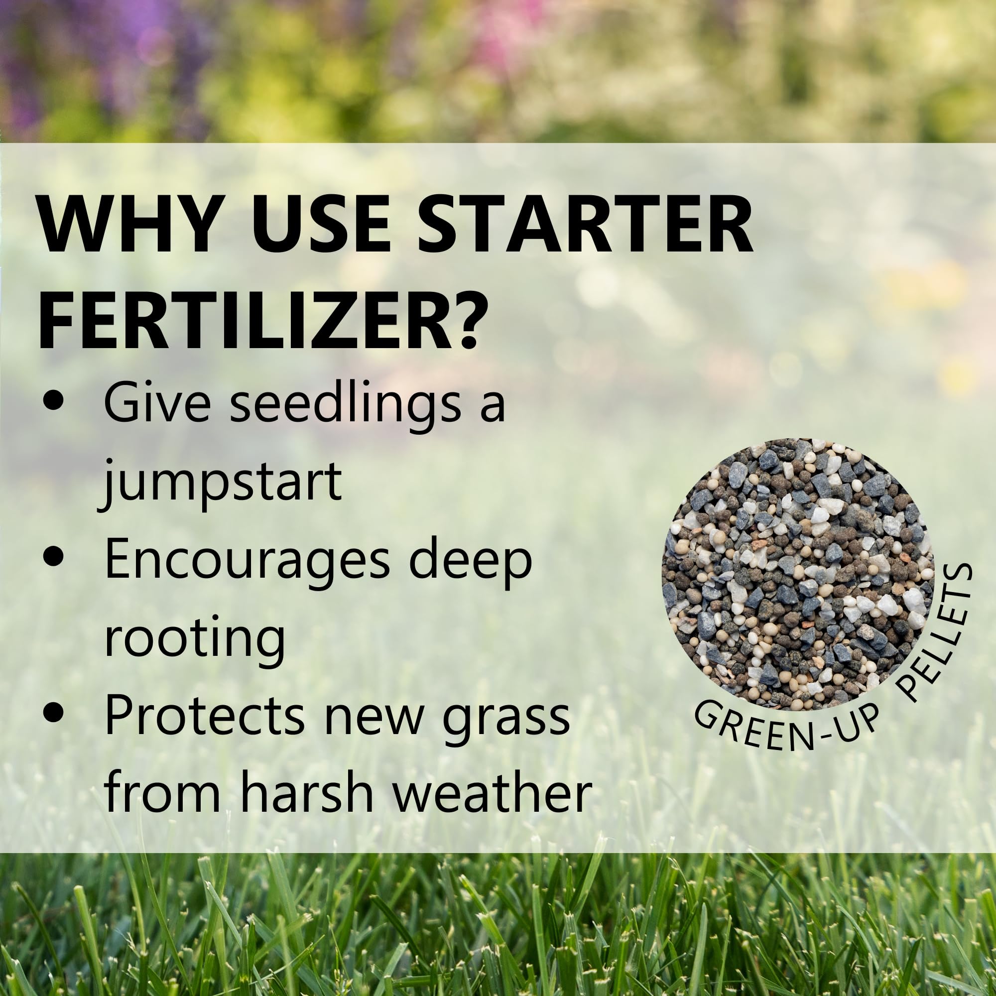 Top 5 Starter Fertilizers for Lawn Seed: Get Your Grass Growing Fast