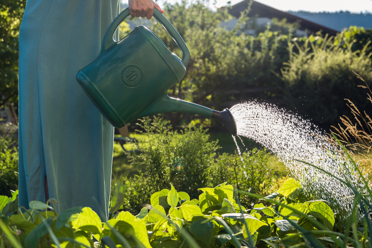 Giant Watering Can: How to Choose the Right One (Tips for Picking a Large Can)