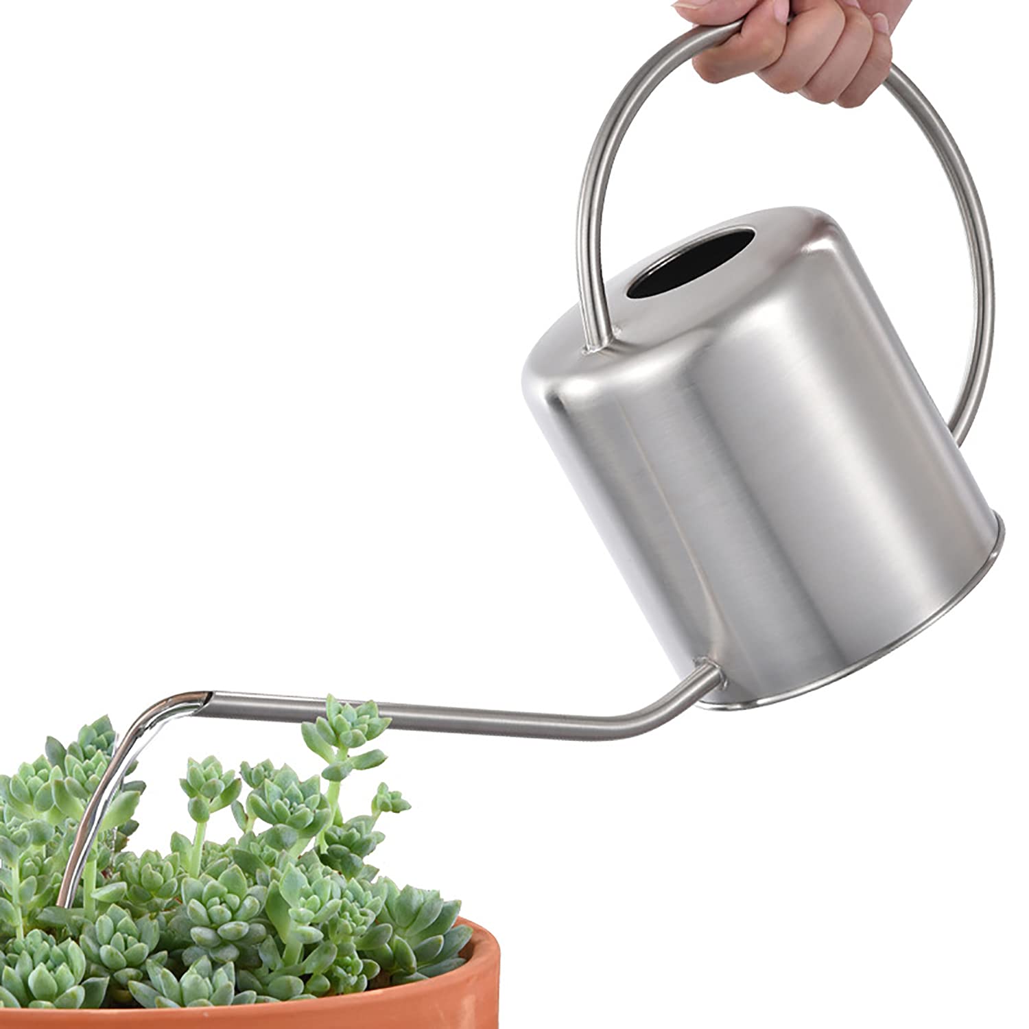 Looking for Stainless Steel Watering Cans? Check Out These Options.