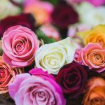 pexels-david-bartus-43782-714918