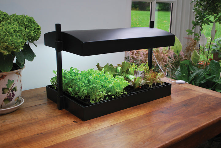 Grow Light Stands for Indoor Plants: How to Choose the Right One