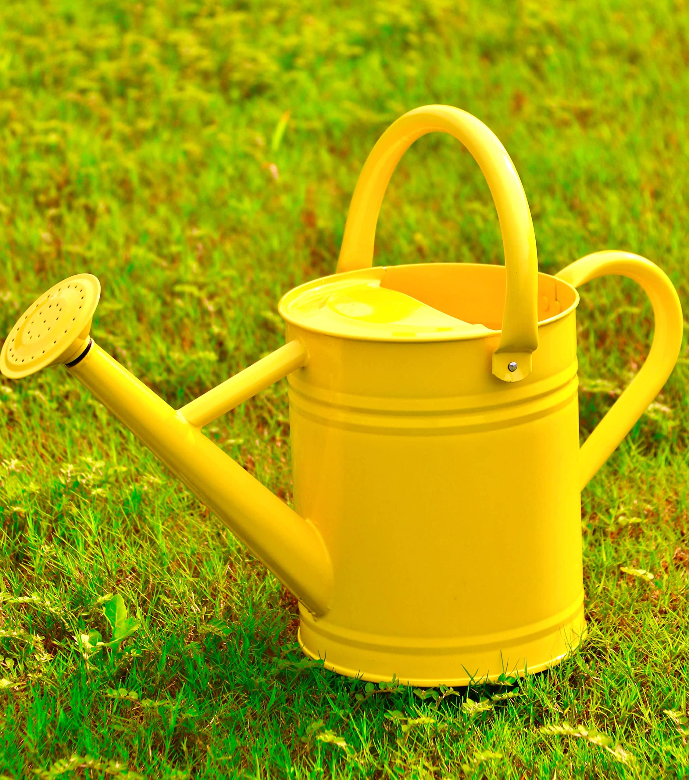 Upgrade Your Garden Tools with a High-Quality Steel Watering Can
