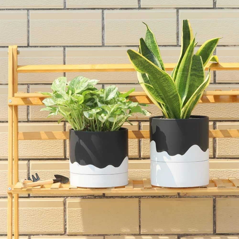 Need a Small Flowerpot? Check Out These Affordable Options