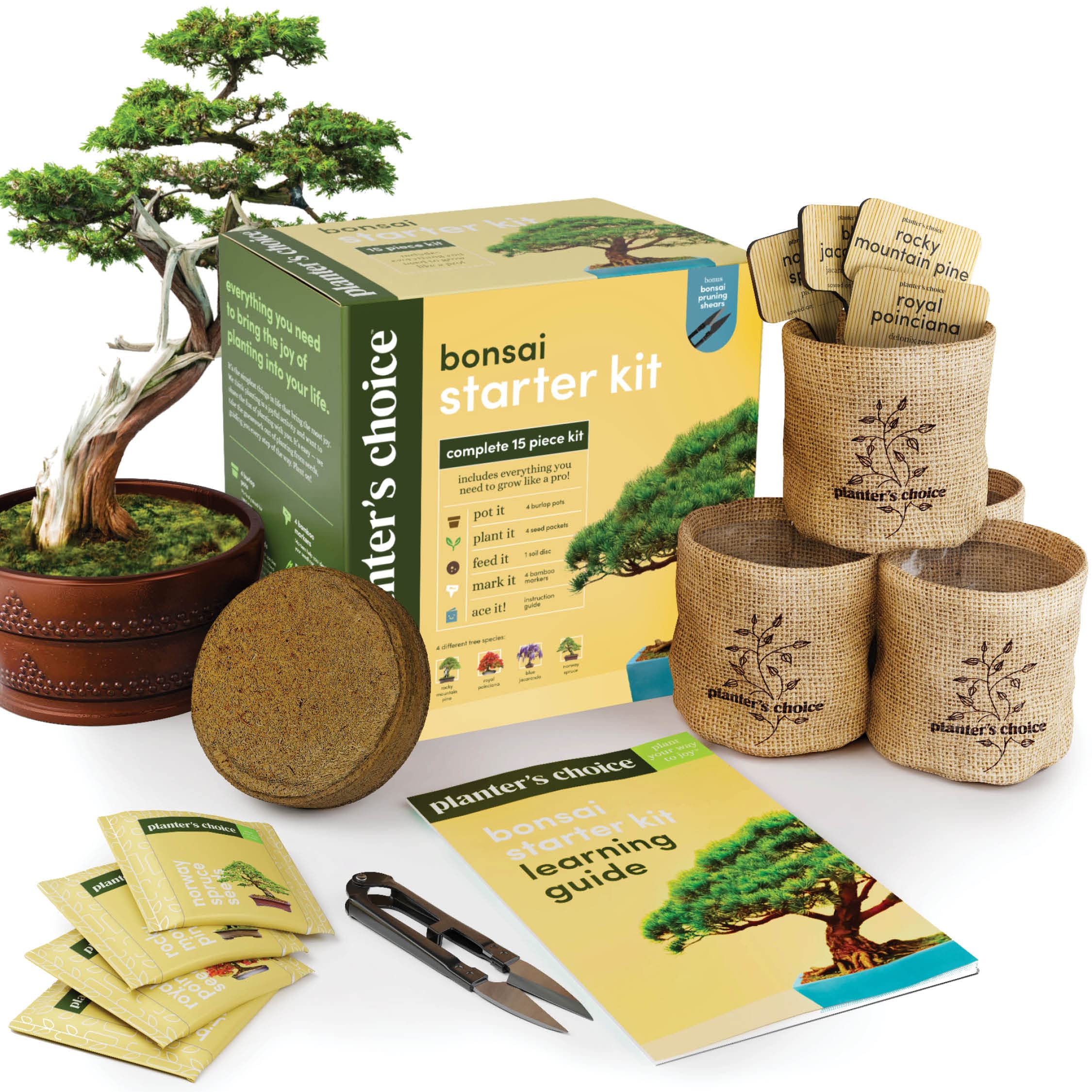 Bonsai Repotting Kit: Everything You Need in One Box!