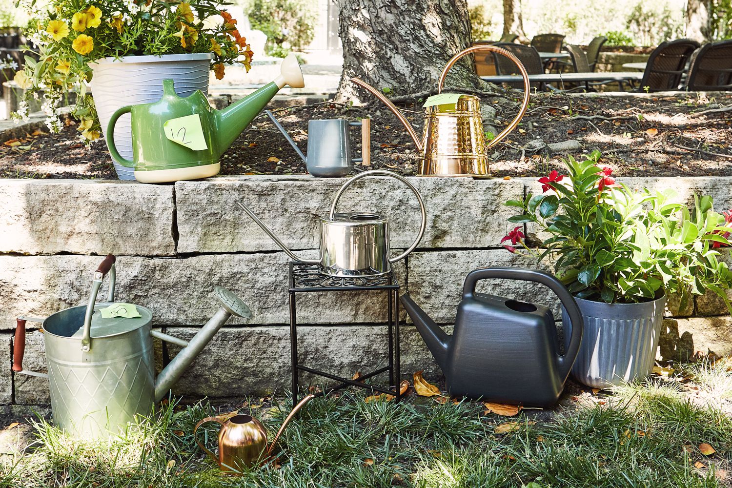 Large Metal Watering Cans: Which One Is Best for Your Garden?