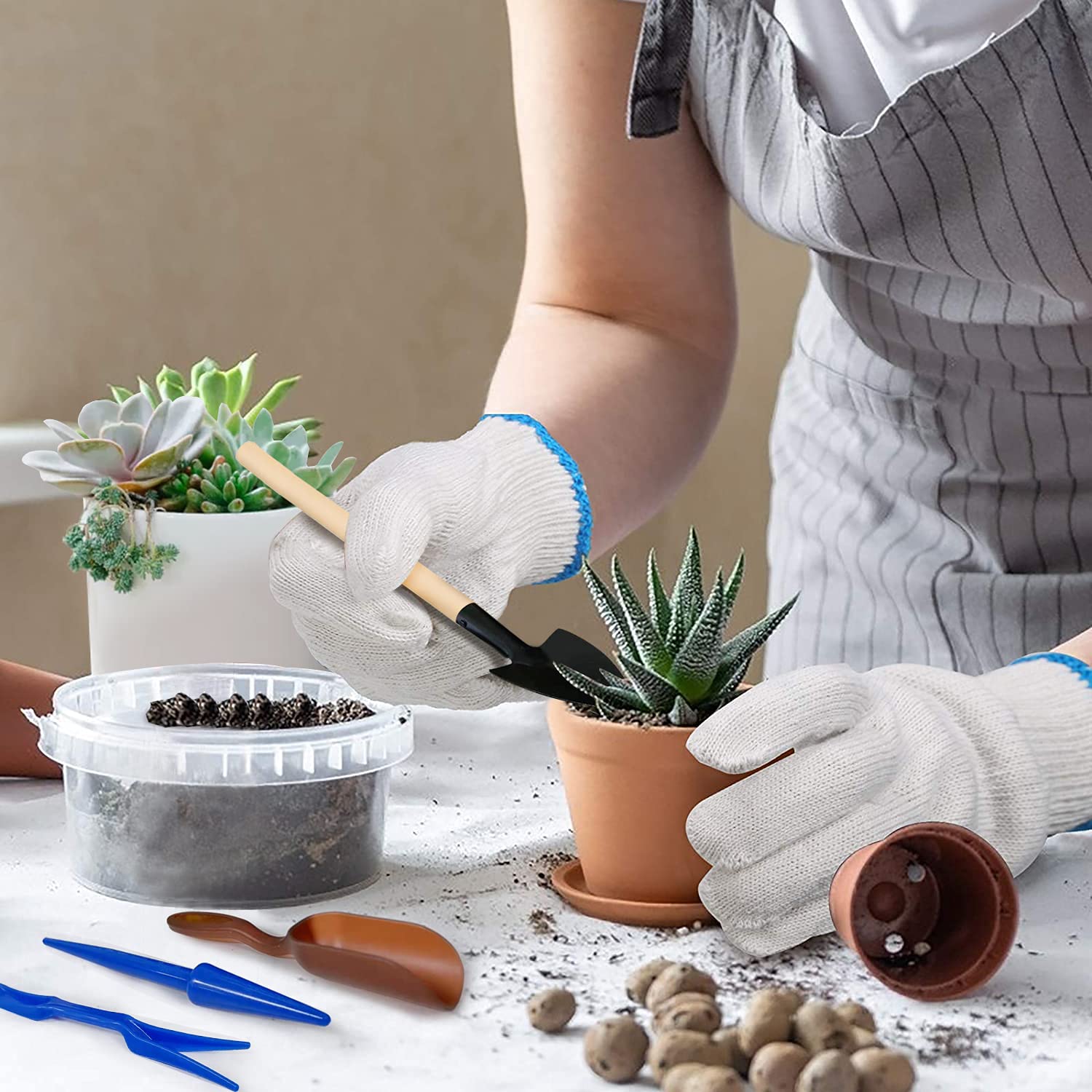 Best Succulent Planting Tools: Make Your Planting Easier