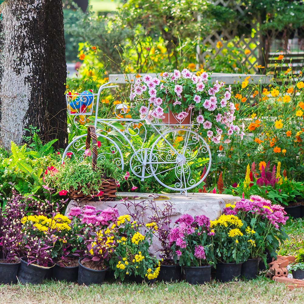 Using Flower and Bloom Fertilizer: Get the Most Beautiful Garden and Bigger Flowers?