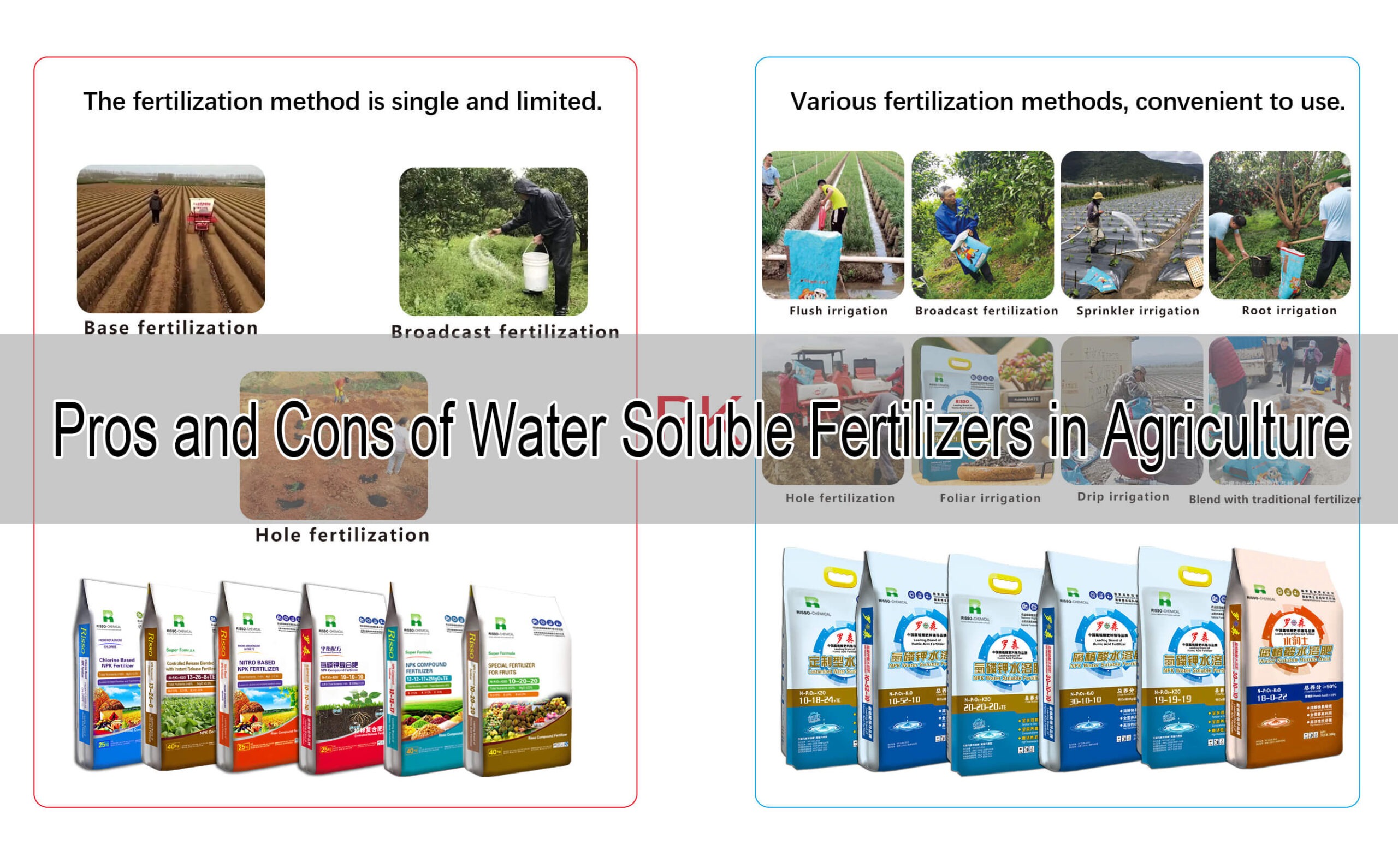 Is Water Soluble Nitrogen Fertilizer Right for You? Find Out with Our Easy Guide