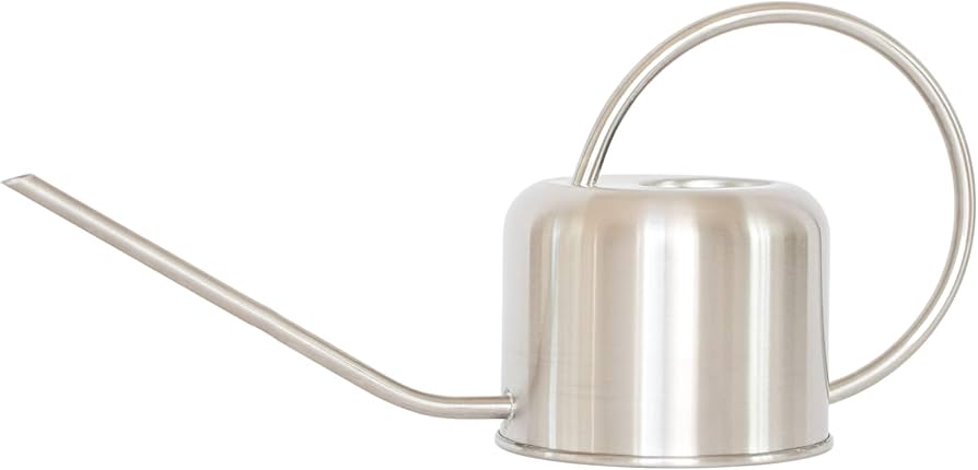 Need a Silver Watering Can? This Guide Will Help!