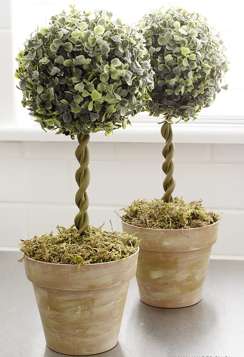 Affordable Flowerpot Tree: Get the Look Without Breaking the Bank