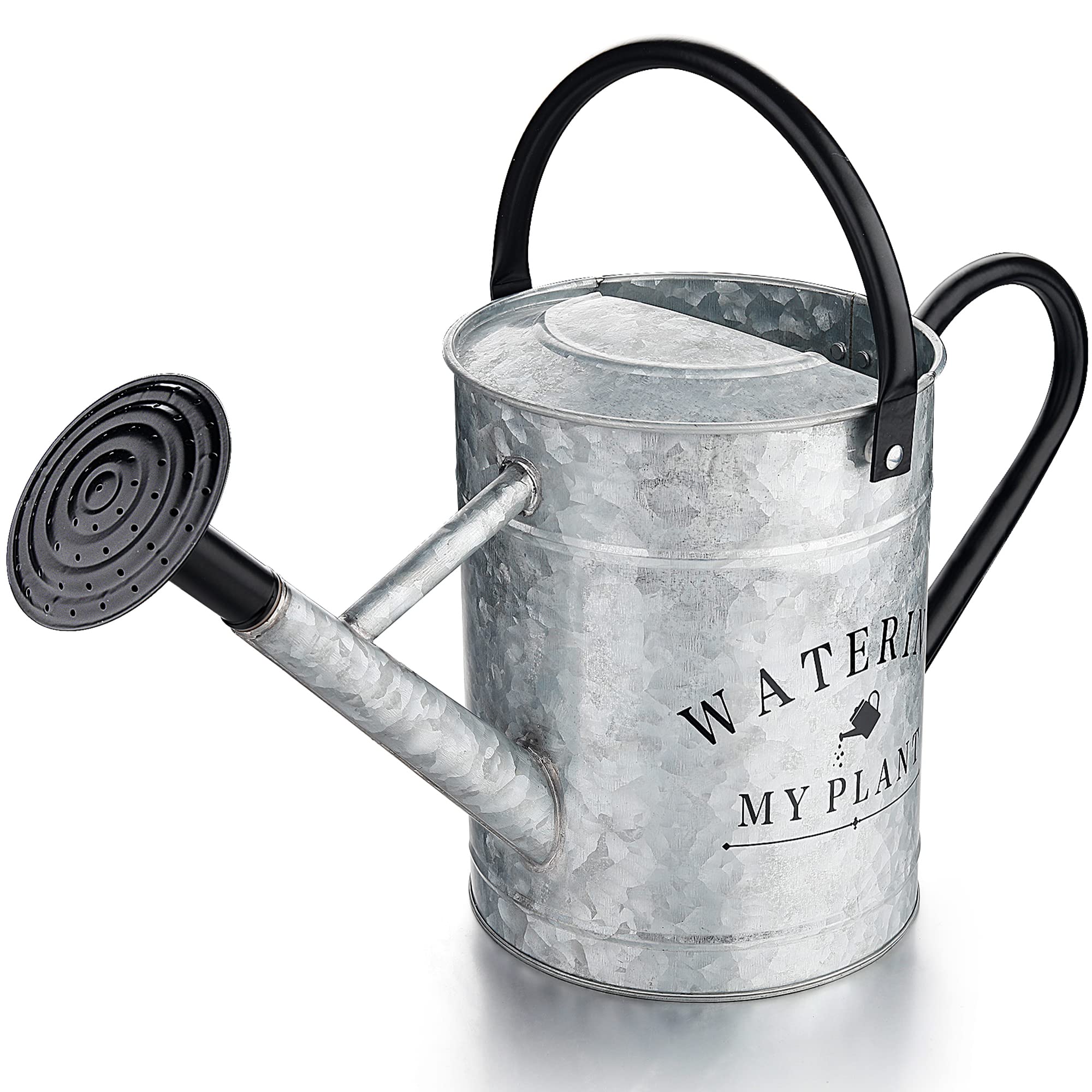 Metal Watering Cans: Where to Buy and What to Look For!